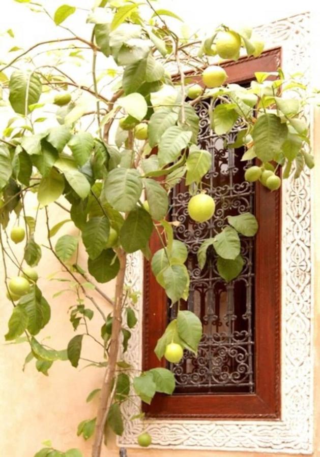 Riad Dar Rania Marrakech Medina Jemaa El Fna 马拉喀什 外观 照片